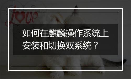 如何在麒麟操作系统上安装和切换双系统？