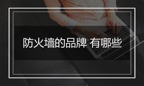 防火墙的品牌 有哪些