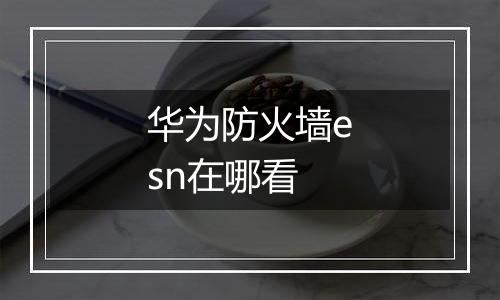 华为防火墙esn在哪看