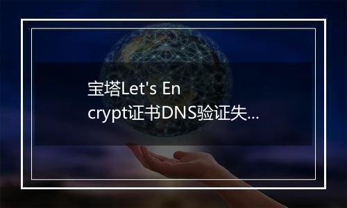 宝塔Let's Encrypt证书DNS验证失败