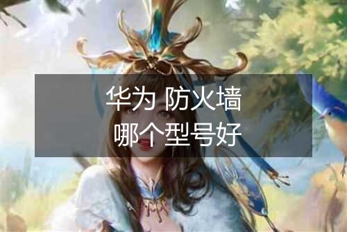华为 防火墙 哪个型号好