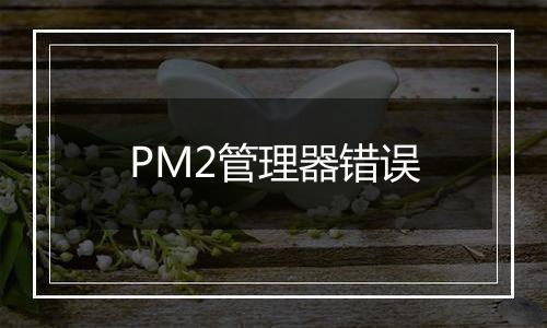 PM2管理器错误