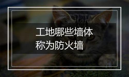 工地哪些墙体称为防火墙