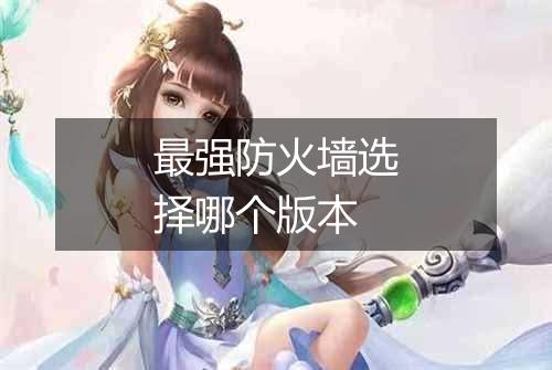 最强防火墙选择哪个版本