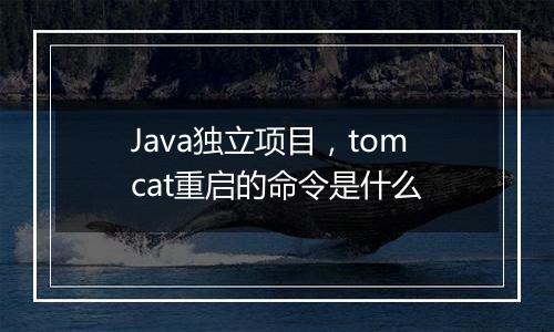 Java独立项目,tomcat重启的命令是什么