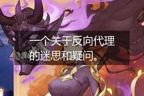 一个关于反向代理的迷思和疑问。