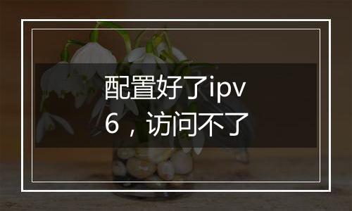 配置好了ipv6,访问不了