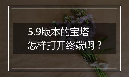 5.9版本的宝塔怎样打开终端啊?