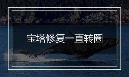 宝塔修复一直转圈