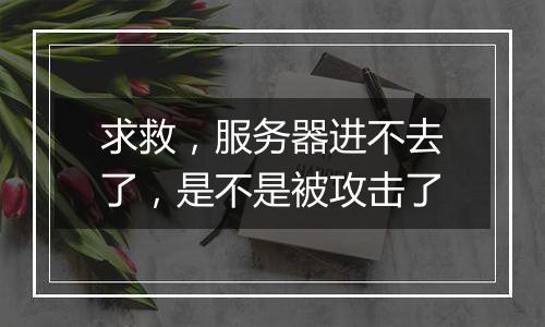 求救,服务器进不去了,是不是被攻击了