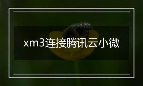 xm3连接腾讯云小微