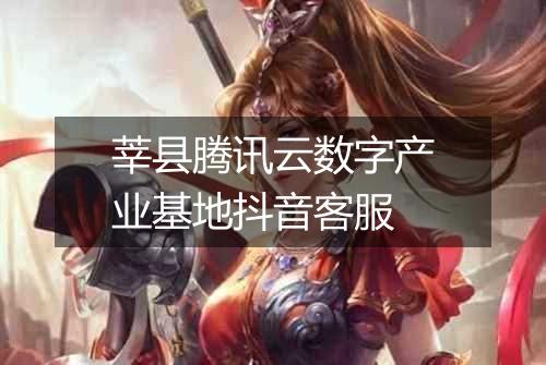 莘县腾讯云数字产业基地抖音客服