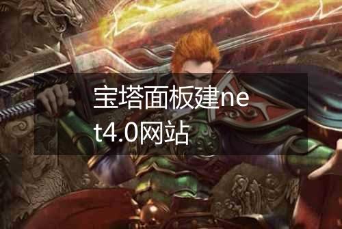宝塔面板建net4.0网站