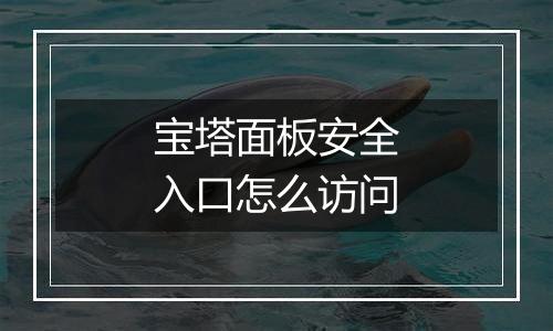宝塔面板安全入口怎么访问