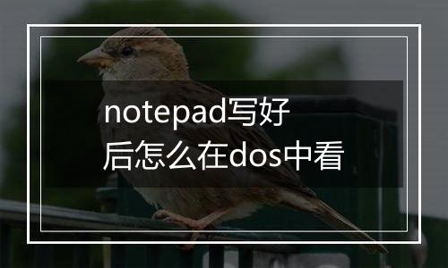 notepad写好后怎么在dos中看