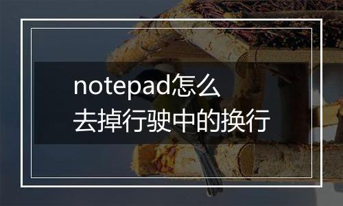 notepad怎么去掉行驶中的换行