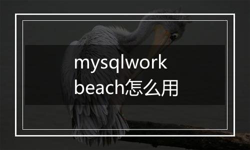 mysqlworkbeach怎么用