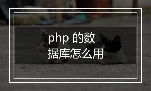 php 的数据库怎么用