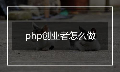 php创业者怎么做