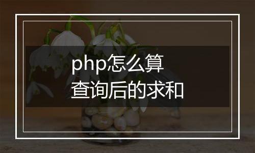 php怎么算查询后的求和