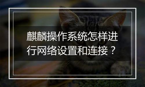 麒麟操作系统怎样进行网络设置和连接？