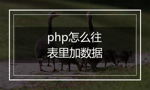 php怎么往表里加数据