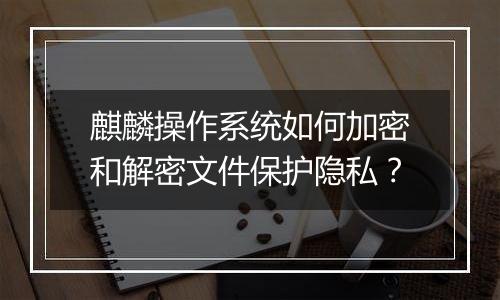 麒麟操作系统如何加密和解密文件保护隐私?
