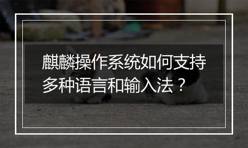麒麟操作系统如何支持多种语言和输入法?