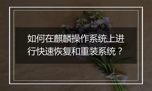 如何在麒麟操作系统上进行快速恢复和重装系统？