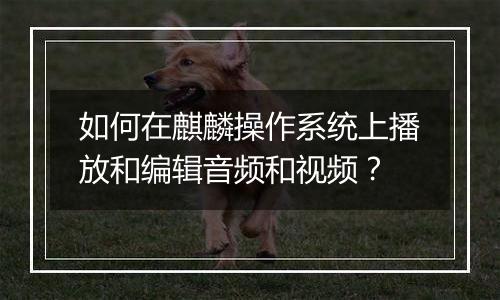 如何在麒麟操作系统上播放和编辑音频和视频?