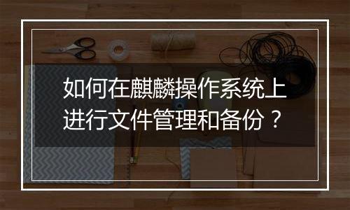 如何在麒麟操作系统上进行文件管理和备份?