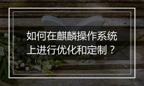如何在麒麟操作系统上进行优化和定制？