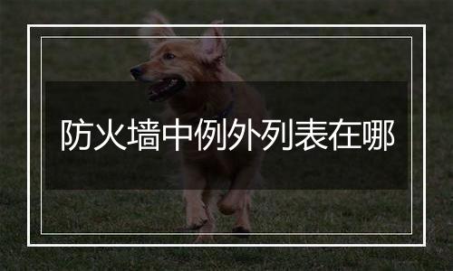 防火墙中例外列表在哪