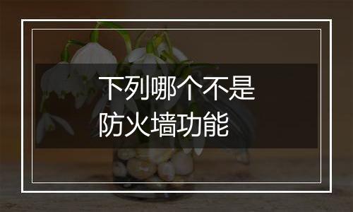 下列哪个不是防火墙功能