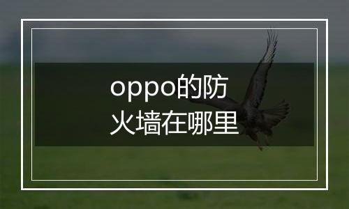 oppo的防火墙在哪里