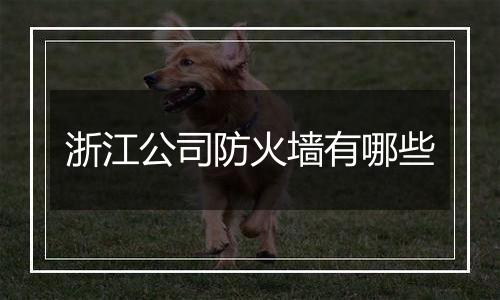 浙江公司防火墙有哪些
