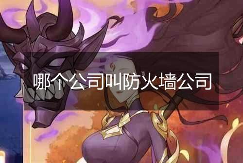 哪个公司叫防火墙公司