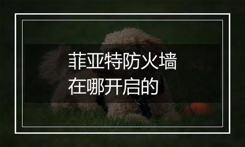 菲亚特防火墙在哪开启的