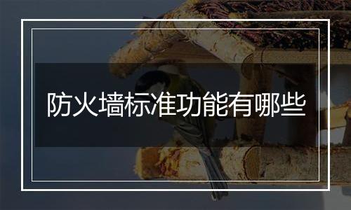 防火墙标准功能有哪些