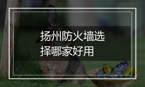 扬州防火墙选择哪家好用