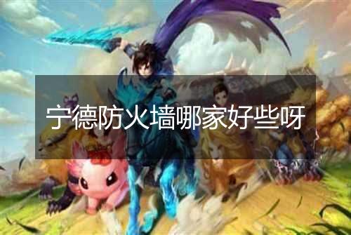 宁德防火墙哪家好些呀