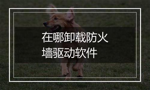在哪卸载防火墙驱动软件