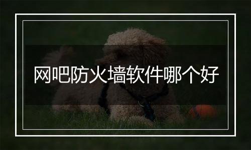 网吧防火墙软件哪个好