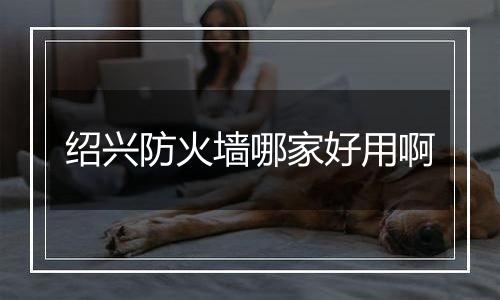 绍兴防火墙哪家好用啊