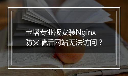 宝塔专业版安装Nginx防火墙后网站无法访问？
