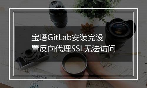 宝塔GitLab安装完设置反向代理SSL无法访问