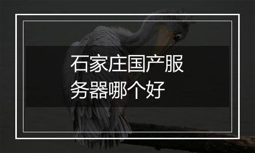 石家庄国产服务器哪个好