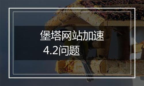 堡塔网站加速 4.2问题