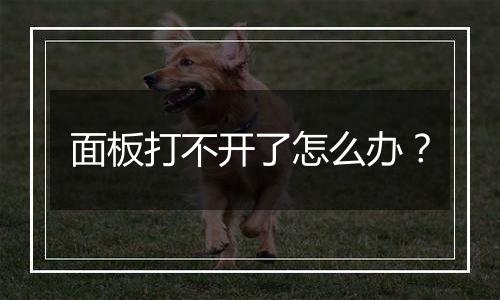 面板打不开了怎么办？