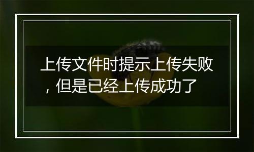 上传文件时提示上传失败,但是已经上传成功了